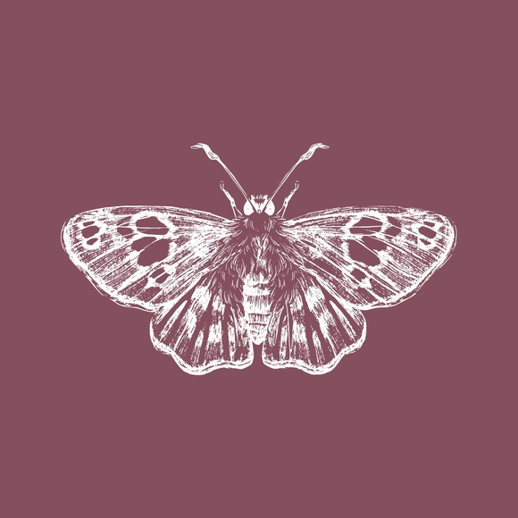 mothwingsvtg